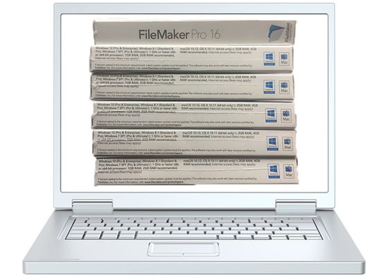Trung Quốc FPP Box bán lẻ Filemaker Pro tiên tiến cho Win 10 Kích hoạt Mã / Tải Link nhà cung cấp